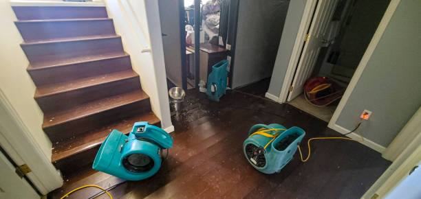 Best Carpet water damage restoration  in Essex Fells, NJ