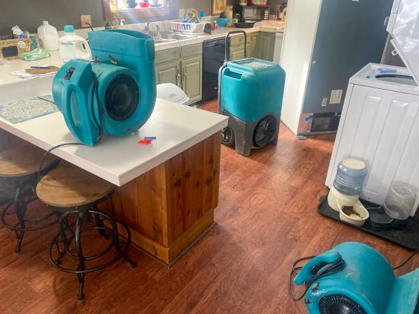 Trusted Essex Fells, NJ Water damage restoration Experts