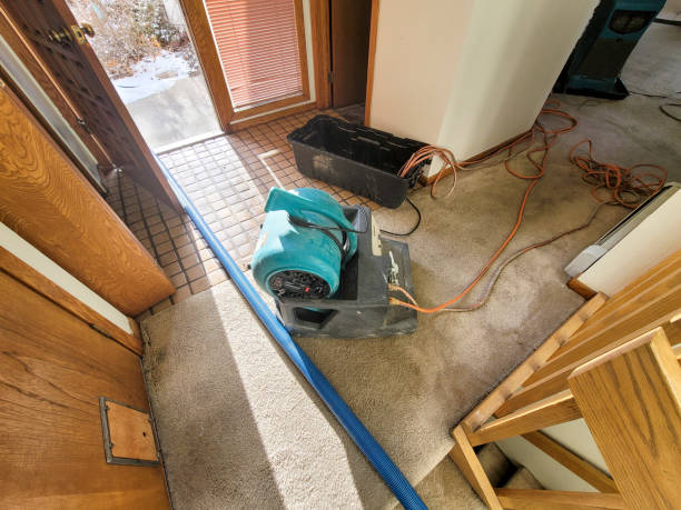 Best Water damage restoration near me  in Essex Fells, NJ