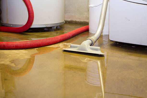 Best 24/7 water damage repair  in Essex Fells, NJ