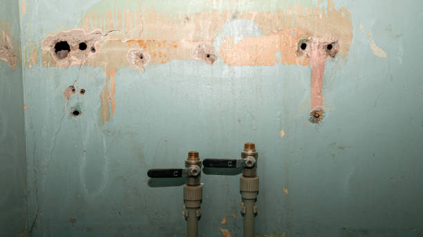 Best Water damage restoration experts  in Essex Fells, NJ