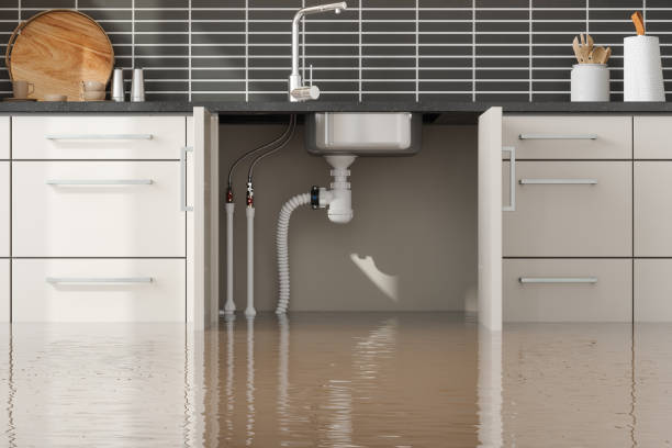 Best 24-hour water damage restoration  in Essex Fells, NJ